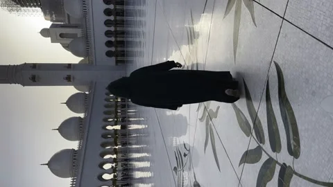 Sheikh Zayed Mosque in Abu Dhabi is the most famous mosque Stock Footage 238543150
