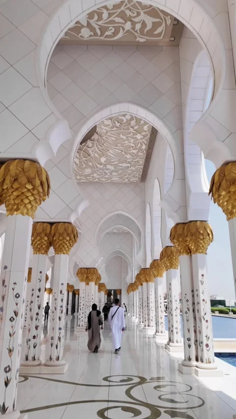 Sheikh Zayed Mosque Stock Footage 315127319