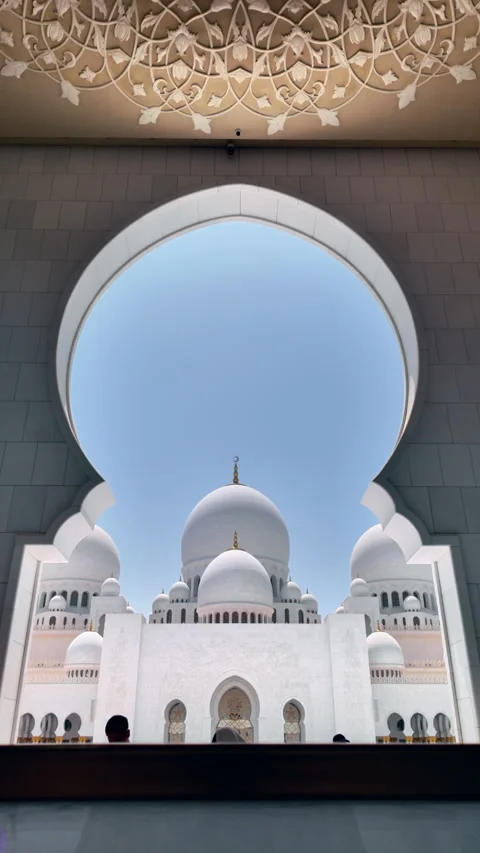 Sheikh Zayed Mosque Stock Footage 315129746