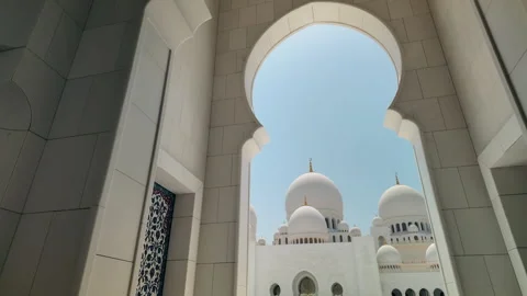Sheikh Zayed Mosque Stock Footage 315130134