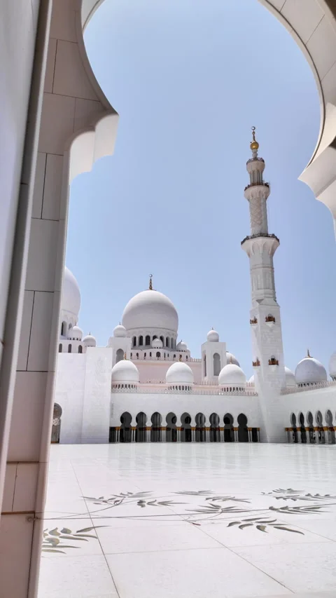 Sheikh Zayed Mosque Stock Footage 315159002