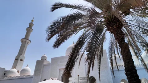 Sheikh Zayed Mosque Stock Footage 315159161