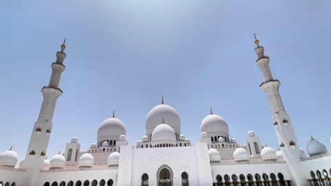 Sheikh Zayed Mosque Stock Footage 315159163