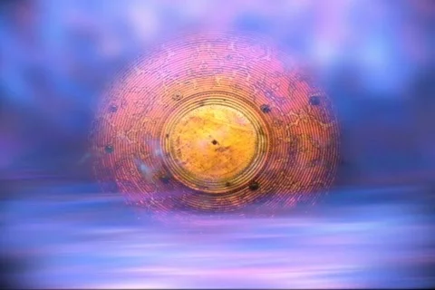 Sheildwaymod Vidéo 365592