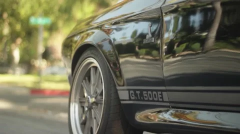 Shelby Footage Video stock 45471879