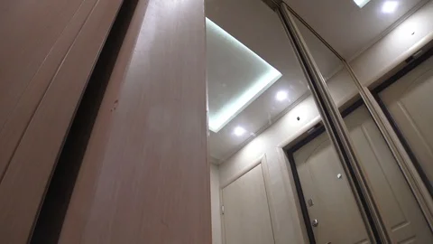 Shelf 17 Video stock 102419340