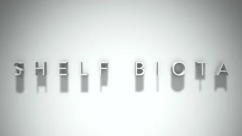 Shelf Biota 3D title animation with shadows on a white background Vídeos de archivo 296716744