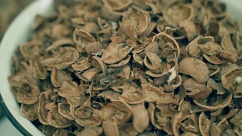 Shell after peeling a walnut close-up, parallax Stock-Footage 235187716