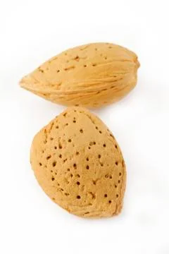 Shell almond Stock Photos