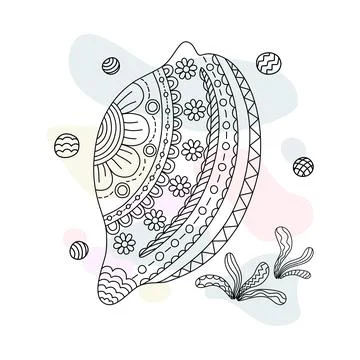 Shell and decoration  Stock Illustration