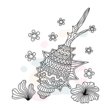 Shell and decoration  Illustrazione stock