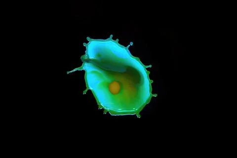 Shell And Egg Water Drop Stock Photos