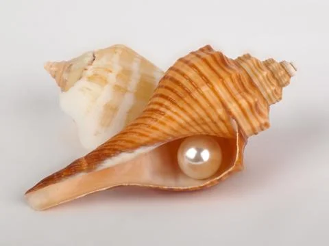 Shell and pearl Stock Photos