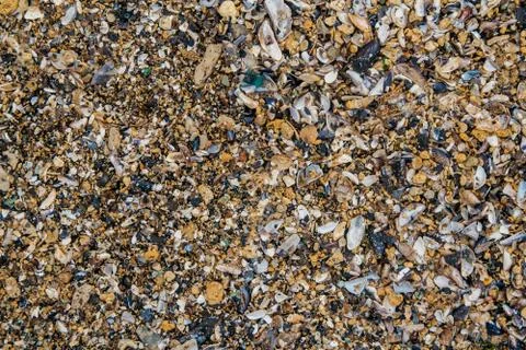 Shell and pebble stone for background texture Stock Photos