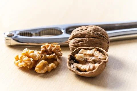 In-shell and shelled walnuts. Production and consumption of walnuts. Stock Photos