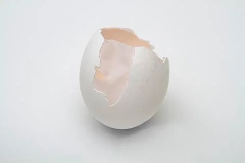 Shell and skin Stock Photos