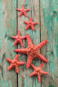 Shell and starfish frame with space on wooden old background. Stock Photos