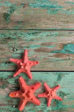 Shell and starfish frame with space on wooden old background. Stock Photos
