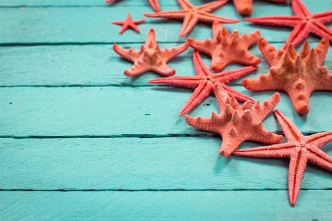 Shell and starfish frame with space on wooden old background. Stock Photos