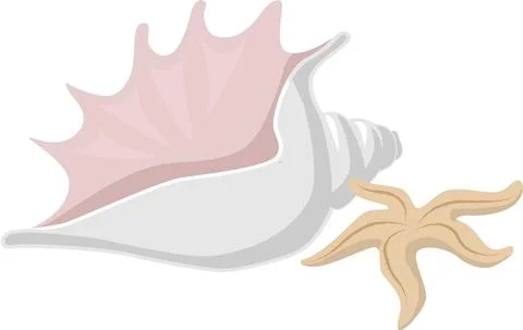 Shell and starfish for summer designs, postcards Stock Illustration