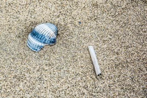 Shell and stick on the sand vertically Stock Photos