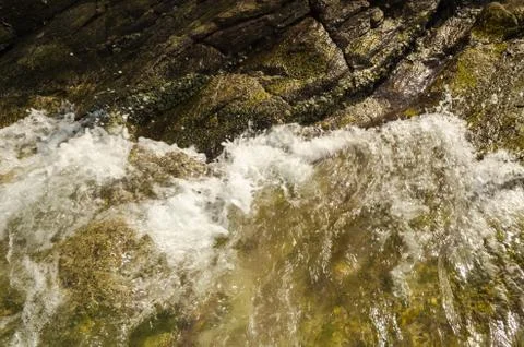 Shell and  stone for background texture. Stock Photos