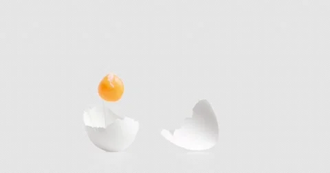 Shell and yolk Stock Footage 223333747