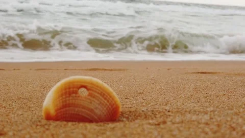 Shell on the background of the sea surf 스톡 동영상 270721016