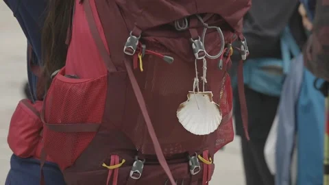 Shell on backpacker 库存影片 131780244