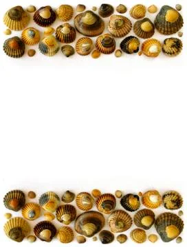 Shell bars Stock Photos