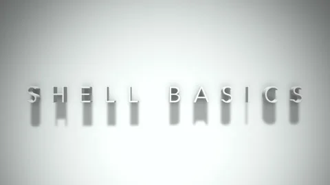 Shell basics 3D title animation with shadows on a white background Stock Footage 298004965