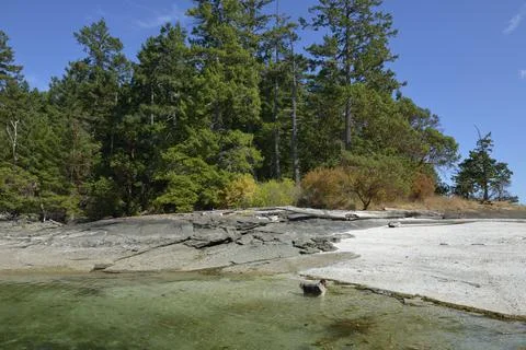 Shell beach and clear water on Russell Island, British Columbia, Canada Stock Photos