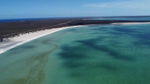 Shell Beach and Shallow Turquoise Water, Aerial Drone View Stockbeeldmateriaal 337471424