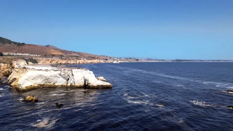 Shell Beach birds on rock Video stock 201687747