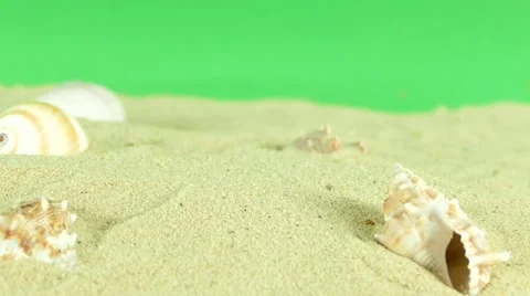 https://images.pond5.com/shell-beach-green-screen-4k-footage-064218417_iconl.jpeg