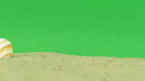Shell on beach with green screen 4k Footage Stock Footage 65010207