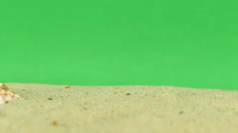 Shell on beach with green screen 4k Footage Stock Footage 65010254