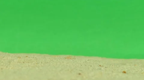 Shell on beach with green screen 4k Footage Stock Footage 65010321