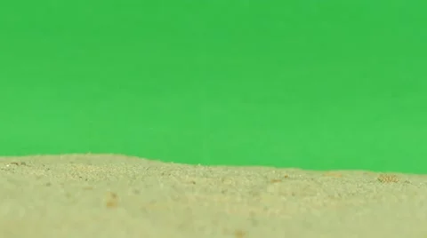 Shell on beach with green screen 4k Footage Stock Footage 65010414