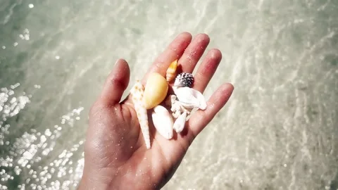 Shell Beach, ocean waves background Stock Footage 234135123