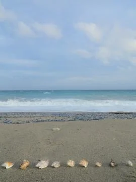 Shell beach Stock Photos