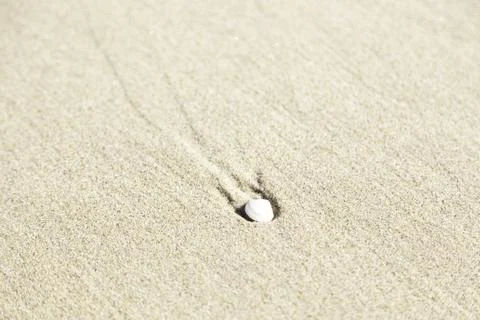 Shell on beach sand Stock Photos