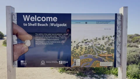 Shell Beach in Shark Bay, World Heritage area, Australia. Stock Footage 317300278