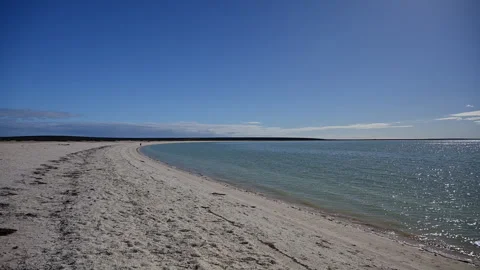Shell Beach in Shark Bay, World Heritage area, Australia. Stock Footage 317303135