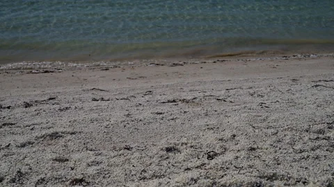 Shell Beach in Shark Bay, World Heritage area, Australia. Stock Footage 317304697