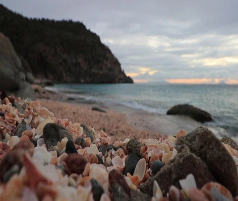 Shell beach - St Barths - Caribbean 스톡 동영상 101692051