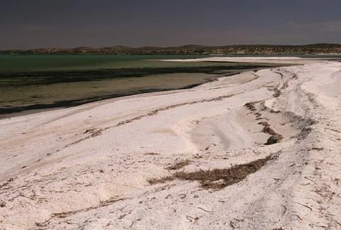 Shell Beach (Western Australia) Foto stock
