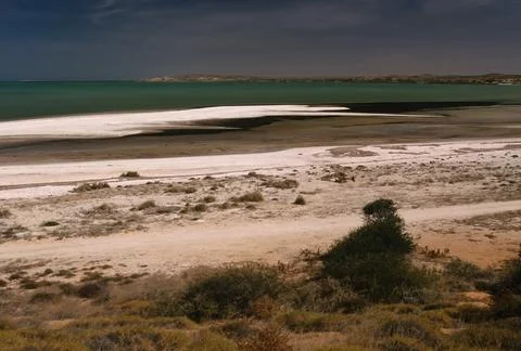 Shell Beach (Western Australia) Stock Photos