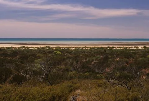 Shell Beach (Western Australia) Stock Photos