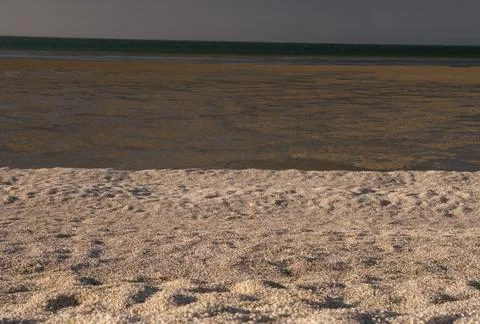 Shell Beach (Western Australia) Foto stock